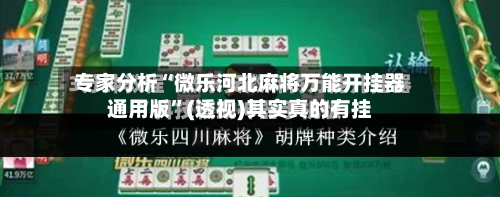 专家分析“微乐河北麻将万能开挂器通用版”(透视)其实真的有挂-第2张图片