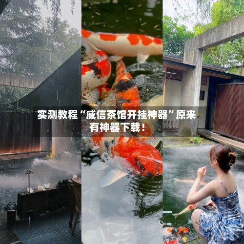 实测教程“威信茶馆开挂神器	”原来有神器下载！-第2张图片