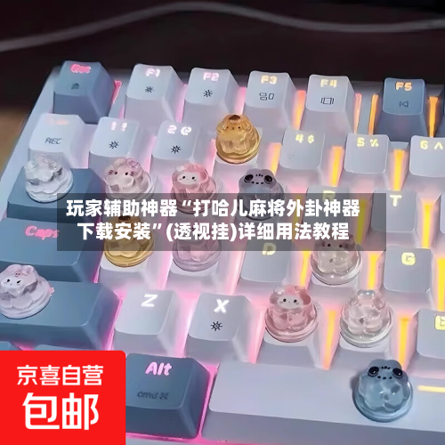 玩家辅助神器“打哈儿麻将外卦神器下载安装”(透视挂)详细用法教程-第2张图片