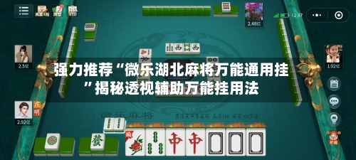 强力推荐“微乐湖北麻将万能通用挂	”揭秘透视辅助万能挂用法-第2张图片