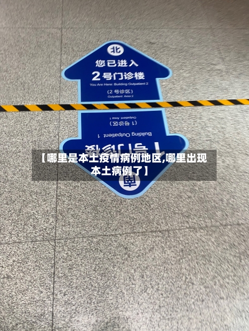 【哪里是本土疫情病例地区,哪里出现本土病例了】-第2张图片