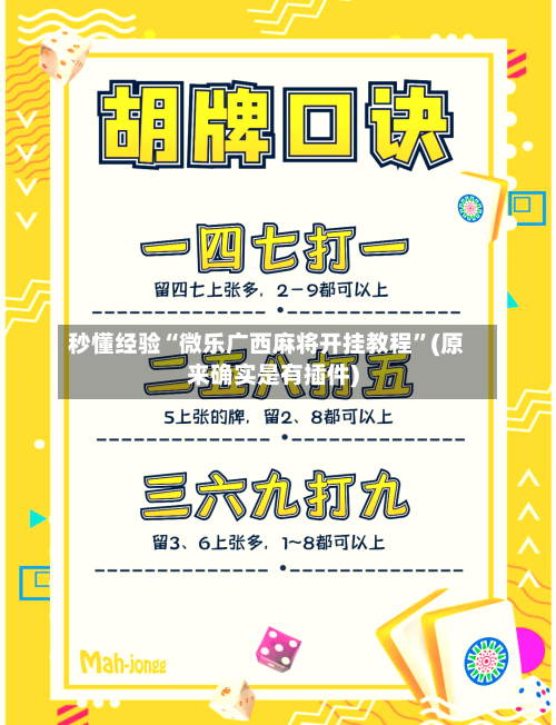 秒懂经验“微乐广西麻将开挂教程”(原来确实是有插件)-第2张图片