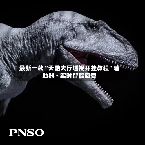 最新一款“天酷大厅透视开挂教程”辅助器 - 实时智能回复-第2张图片