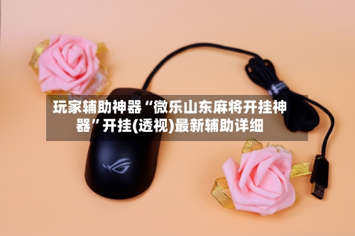 玩家辅助神器“微乐山东麻将开挂神器”开挂(透视)最新辅助详细-第2张图片