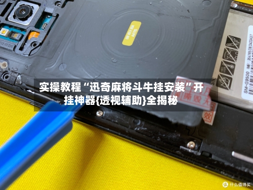 实操教程“迅奇麻将斗牛挂安装	”开挂神器{透视辅助}全揭秘-第2张图片
