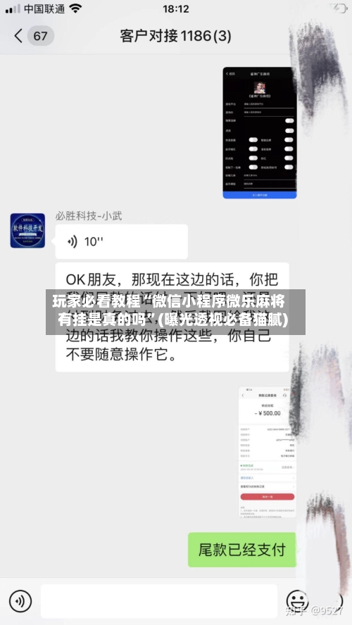 玩家必看教程“微信小程序微乐麻将有挂是真的吗”(曝光透视必备猫腻)-第2张图片