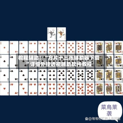 教程辅助！“方片十三张辅助器下载”详细外挂透视辅助软件教程-第2张图片