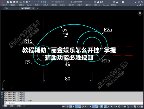教程辅助“丽金娱乐怎么开挂”掌握辅助功能必胜规则