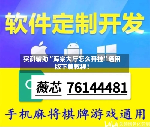 实测辅助“海棠大厅怎么开挂”通用版下载教程！-第3张图片