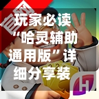 玩家必读“哈灵辅助通用版”详细分享装挂步骤教程-第2张图片