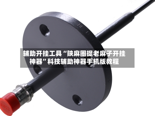 辅助开挂工具“陕麻圈捉老麻子开挂神器	”科技辅助神器手机版教程-第2张图片