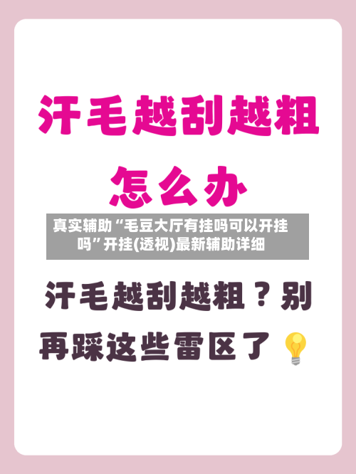 真实辅助“毛豆大厅有挂吗可以开挂吗”开挂(透视)最新辅助详细