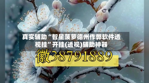 真实辅助“智星菠萝德州作弊软件透视挂”开挂(透视)辅助神器-第3张图片