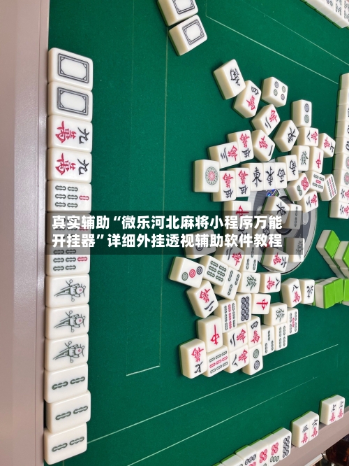 真实辅助“微乐河北麻将小程序万能开挂器”详细外挂透视辅助软件教程-第2张图片