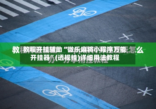 教程开挂辅助“微乐麻将小程序万能开挂器”(透视挂)详细用法教程-第2张图片