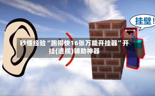 秒懂经验“跑得快16张万能开挂器	”开挂(透视)辅助神器-第2张图片