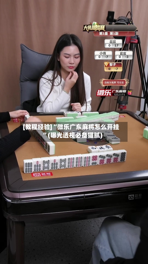 [教程经验]“微乐广东麻将怎么开挂	”(曝光透视必备猫腻)-第2张图片