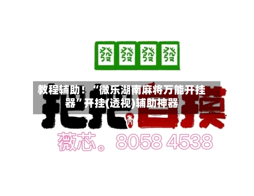 教程辅助！“微乐湖南麻将万能开挂器	”开挂(透视)辅助神器-第2张图片