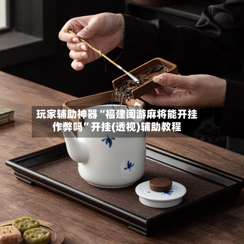 玩家辅助神器“福建闽游麻将能开挂作弊吗”开挂(透视)辅助教程-第3张图片