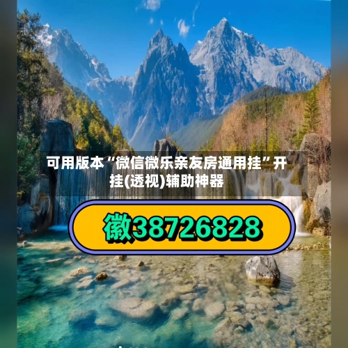 可用版本“微信微乐亲友房通用挂”开挂(透视)辅助神器-第2张图片