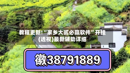教程更新!“家乡大贰必赢软件”开挂(透视)最新辅助详细-第2张图片