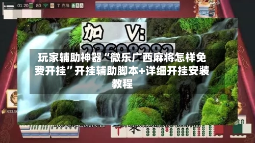 玩家辅助神器“微乐广西麻将怎样免费开挂”开挂辅助脚本+详细开挂安装教程-第3张图片