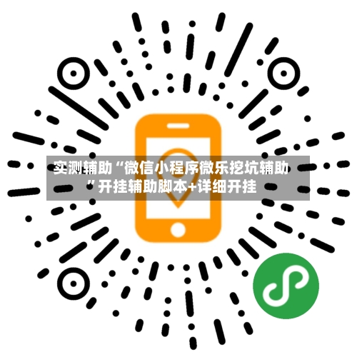 实测辅助“微信小程序微乐挖坑辅助”开挂辅助脚本+详细开挂-第2张图片
