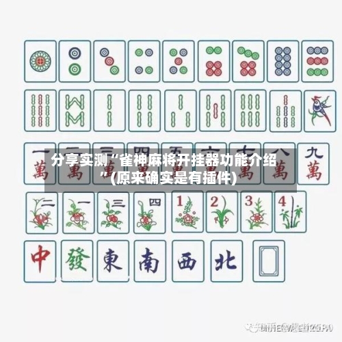 分享实测“雀神麻将开挂器功能介绍	”(原来确实是有插件)-第2张图片