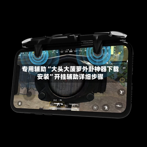 专用辅助“大头大菠萝外卦神器下载安装	”开挂辅助详细步骤-第2张图片