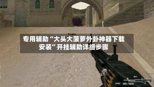 专用辅助“大头大菠萝外卦神器下载安装”开挂辅助详细步骤