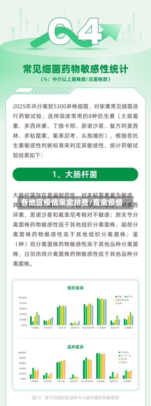 各地区疫情家禽排查/畜禽疫情
