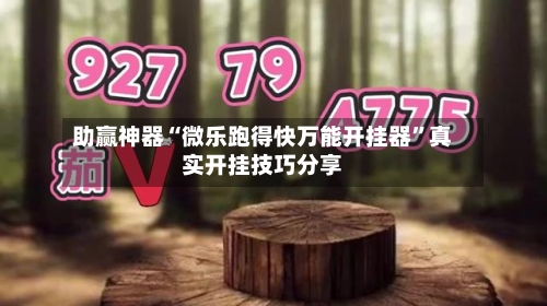 助赢神器“微乐跑得快万能开挂器	”真实开挂技巧分享-第2张图片