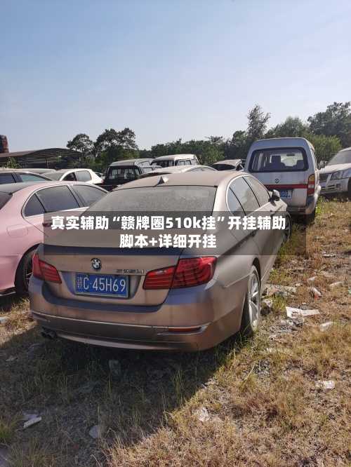真实辅助“赣牌圈510k挂	”开挂辅助脚本+详细开挂-第2张图片
