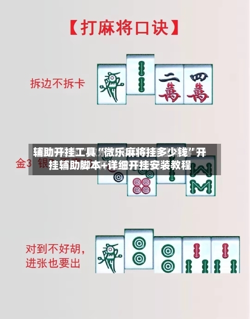 辅助开挂工具“微乐麻将挂多少钱”开挂辅助脚本+详细开挂安装教程-第2张图片
