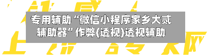 专用辅助“微信小程序家乡大贰辅助器”作弊(透视)透视辅助-第2张图片