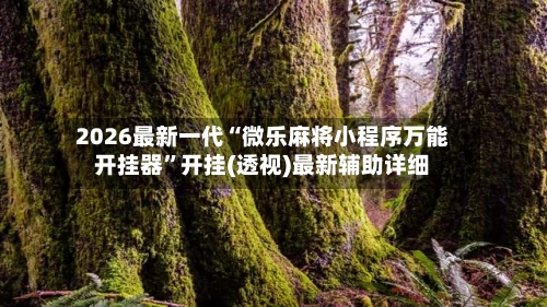 2026最新一代“微乐麻将小程序万能开挂器”开挂(透视)最新辅助详细-第2张图片