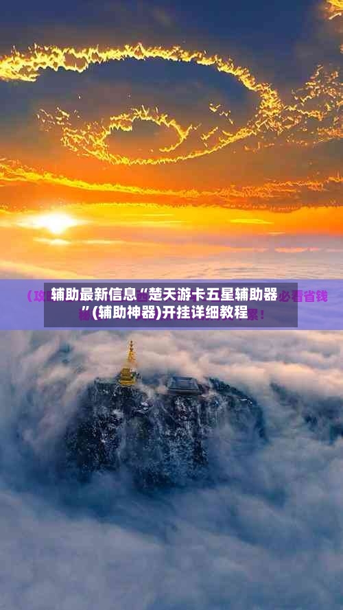 辅助最新信息“楚天游卡五星辅助器”(辅助神器)开挂详细教程-第3张图片