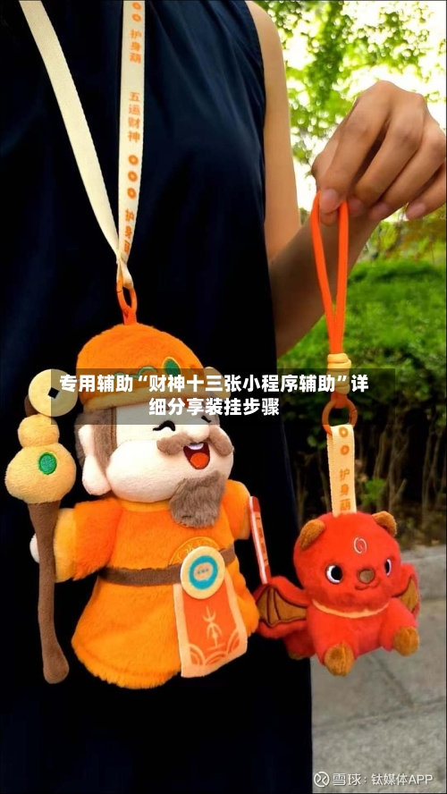 专用辅助“财神十三张小程序辅助”详细分享装挂步骤-第2张图片