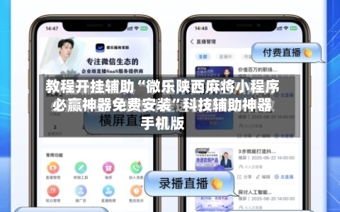 教程开挂辅助“微乐陕西麻将小程序必赢神器免费安装	”科技辅助神器手机版-第2张图片