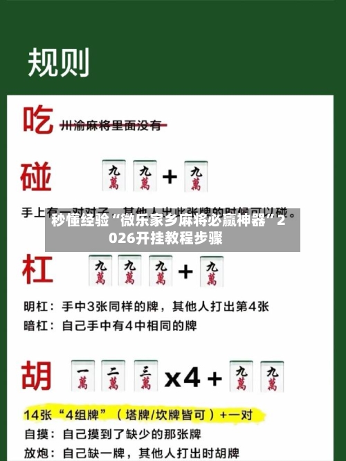 秒懂经验“微乐家乡麻将必赢神器”2026开挂教程步骤-第2张图片