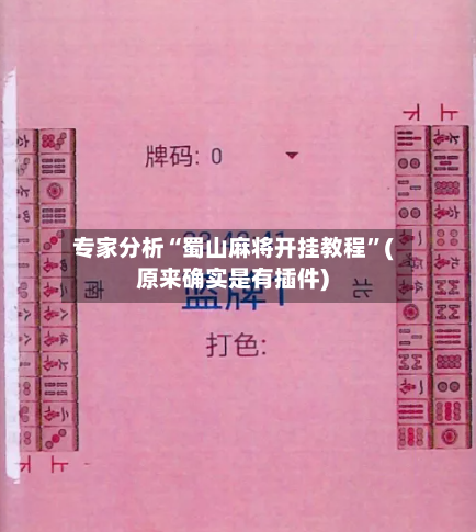 专家分析“蜀山麻将开挂教程”(原来确实是有插件)