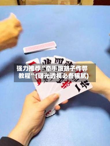 强力推荐“牵手跑胡子作弊教程”(曝光透视必备猫腻)-第2张图片