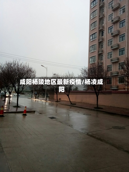 咸阳杨陵地区最新疫情/杨凌咸阳