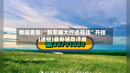 教程更新!“新荣耀大厅透视挂	”开挂(透视)最新辅助详细-第2张图片