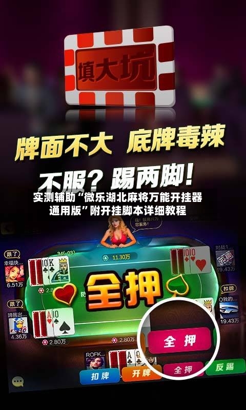 实测辅助“微乐湖北麻将万能开挂器通用版”附开挂脚本详细教程-第3张图片