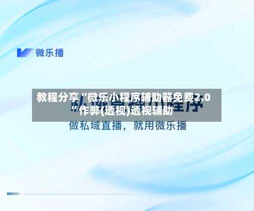 教程分享“微乐小程序辅助器免费2.0	”作弊(透视)透视辅助-第2张图片