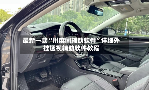 最新一款“川麻圈辅助软件	”详细外挂透视辅助软件教程-第2张图片