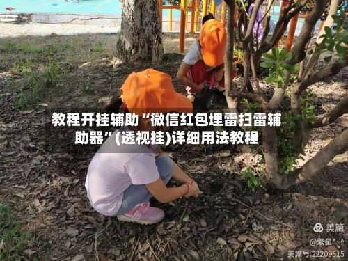 教程开挂辅助“微信红包埋雷扫雷辅助器”(透视挂)详细用法教程-第3张图片