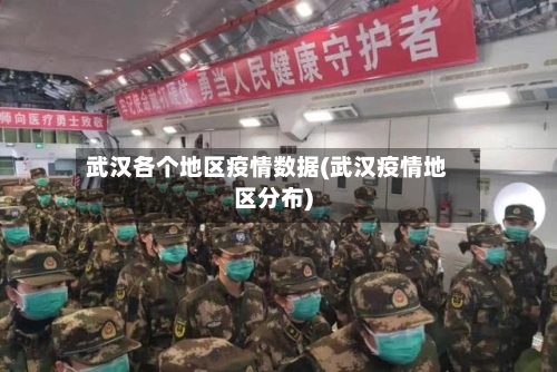 武汉各个地区疫情数据(武汉疫情地区分布)-第2张图片