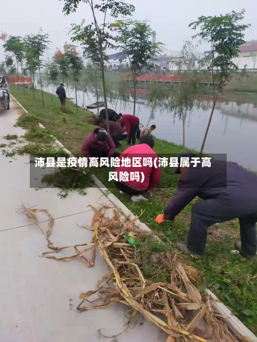 沛县是疫情高风险地区吗(沛县属于高风险吗)-第2张图片